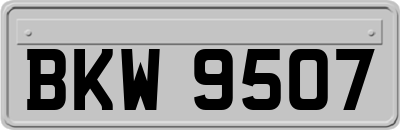 BKW9507