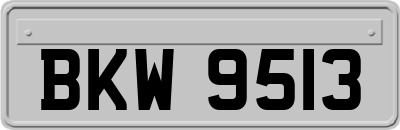 BKW9513