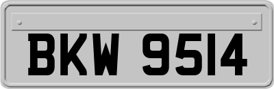 BKW9514