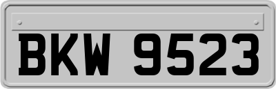 BKW9523