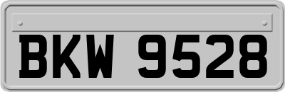 BKW9528