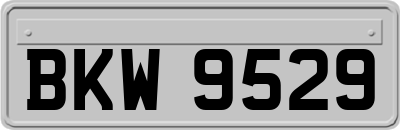 BKW9529