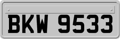 BKW9533