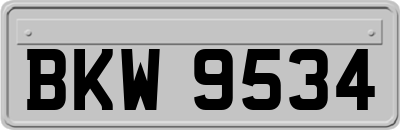 BKW9534