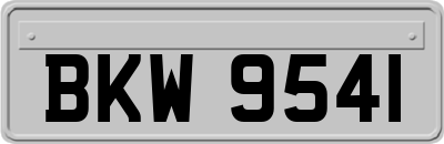 BKW9541