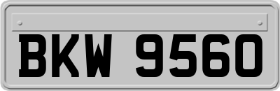 BKW9560