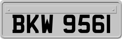 BKW9561