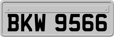 BKW9566