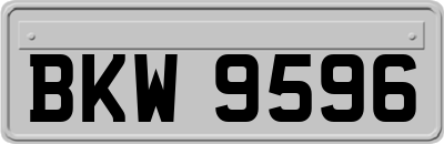 BKW9596