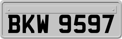 BKW9597