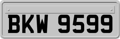 BKW9599
