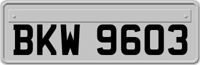 BKW9603