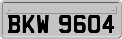 BKW9604
