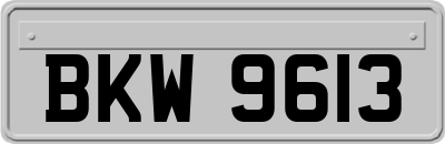 BKW9613
