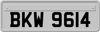 BKW9614
