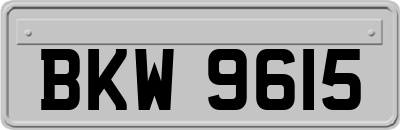 BKW9615