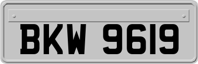 BKW9619