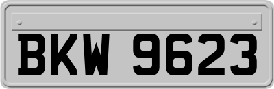 BKW9623