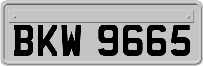BKW9665