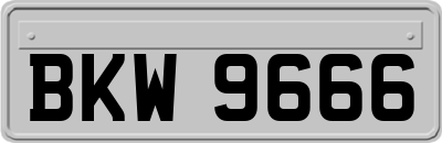 BKW9666