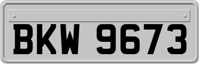 BKW9673