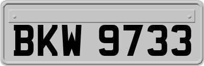 BKW9733