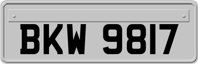 BKW9817