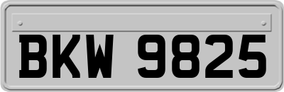 BKW9825