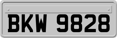 BKW9828
