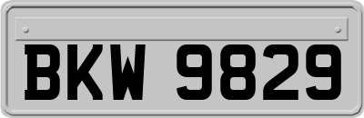 BKW9829