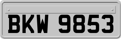 BKW9853