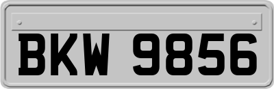BKW9856