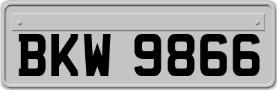 BKW9866