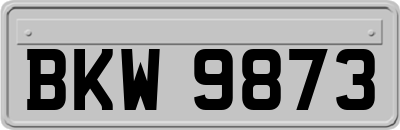 BKW9873
