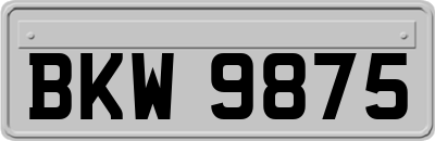 BKW9875