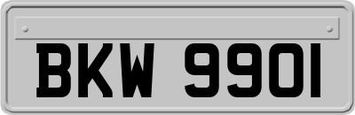 BKW9901