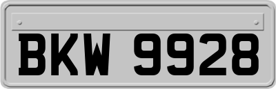BKW9928