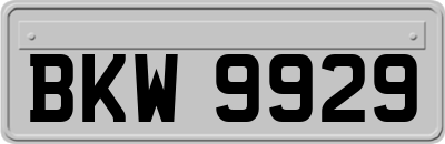 BKW9929