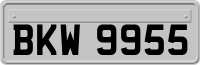 BKW9955