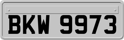 BKW9973