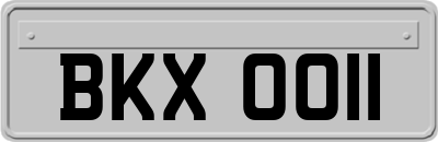 BKX0011