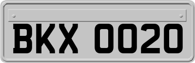 BKX0020