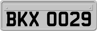 BKX0029