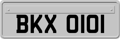 BKX0101