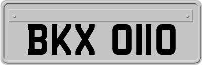 BKX0110