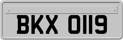 BKX0119