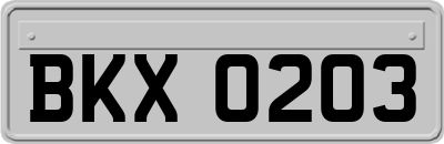 BKX0203