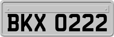 BKX0222