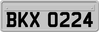 BKX0224