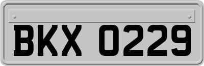 BKX0229